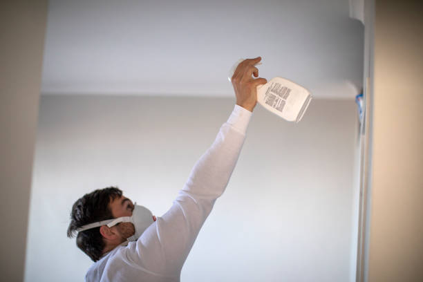 Best Mold Remediation Services  in Atglen, PA